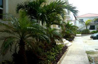 Turtle Nest Inn & Condos are beautifully landscaped and on a sandy beach.